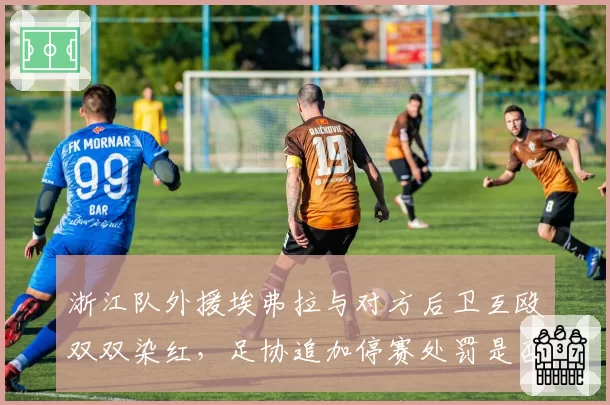 浙江队外援埃弗拉与对方后卫互殴双双染红，足协追加停赛处罚是否过重？