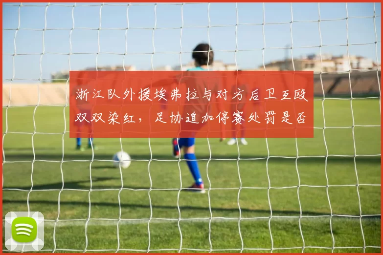 浙江队外援埃弗拉与对方后卫互殴双双染红，足协追加停赛处罚是否过重？